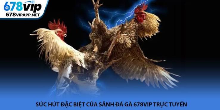 Đá Gà 678VIP Kết Nối Ví Và Lịch Sử Giao Dịch